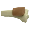 Tibia, Adult, Proximal w/Skin Patch
