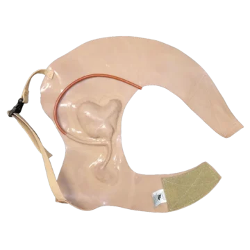 Gunshot Wound Clavicle (Right) 8 Gunshot Wound Clavicle (Right) - Image 2