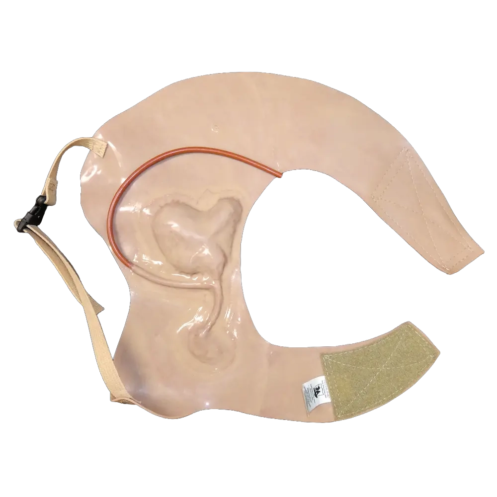 Gunshot Wound Clavicle (Right) 2 Gunshot Wound Clavicle (Right) - Image 2