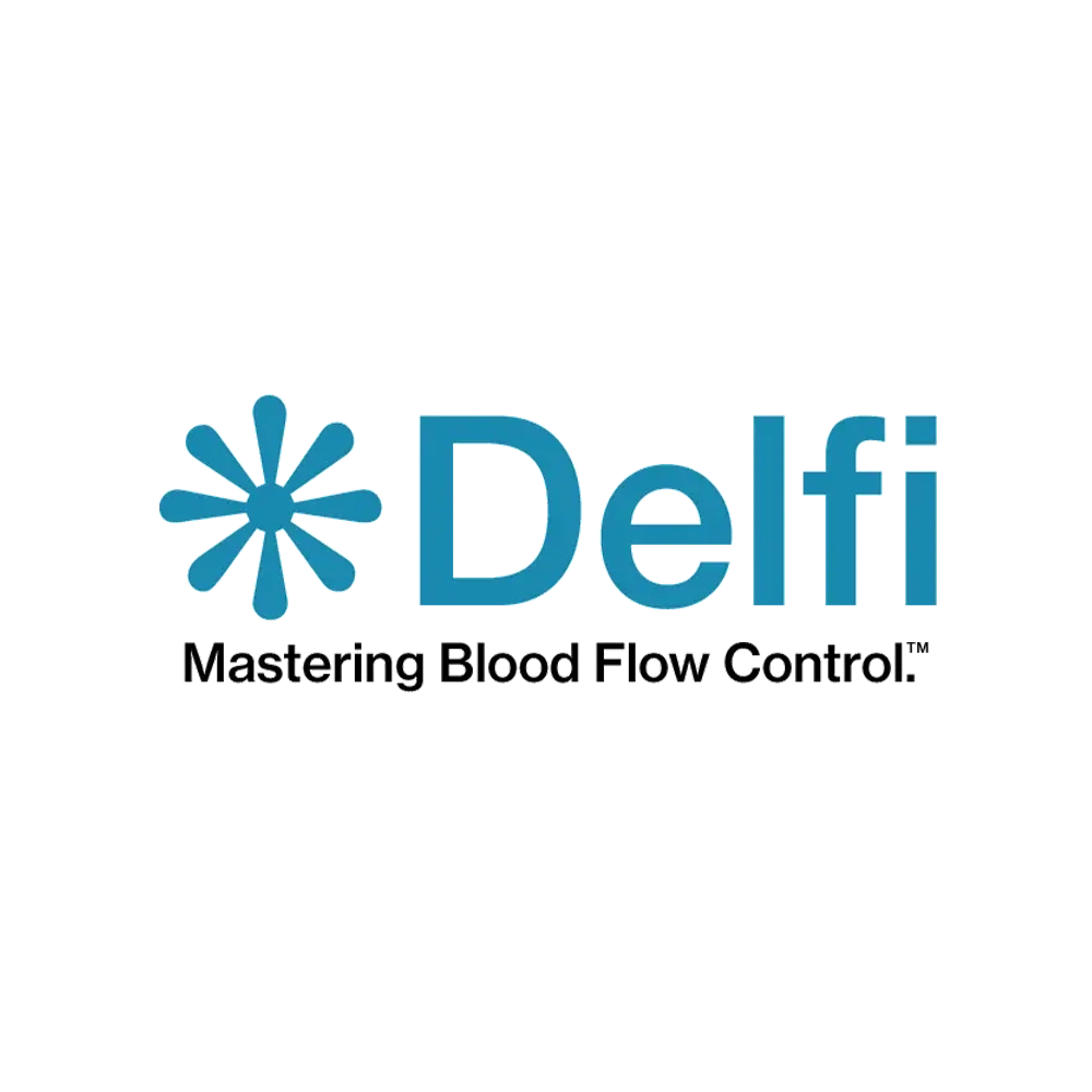 Delfi